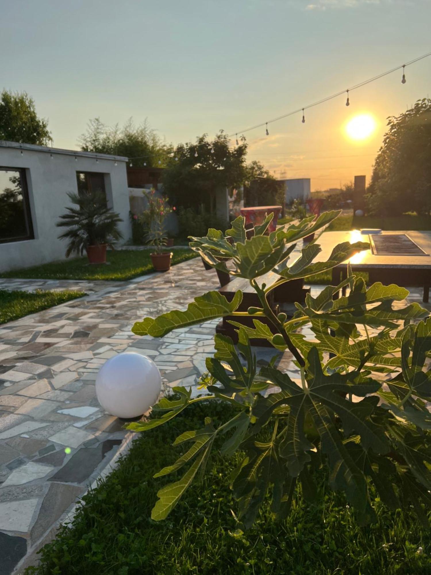 La Casa Blanca Apartment Vladimirescu ภายนอก รูปภาพ